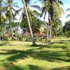 Tanah dijual di Negara, Jembrana Bali